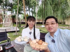 惠州新农夫携“鸡蛋+马铃薯蛋糕”表态央视
